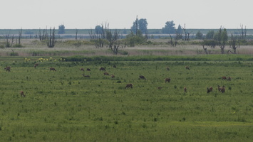 160616-200-500-Test-127