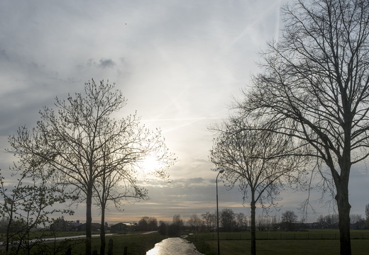 20170329-Kamerik-100