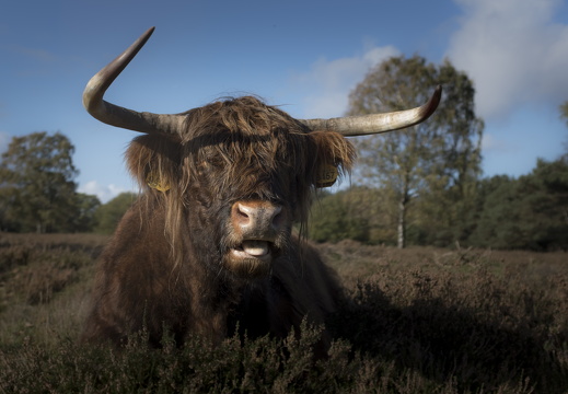 20171027-Fietsrondje-101