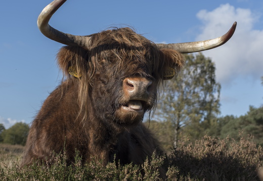 20171027-Fietsrondje-102