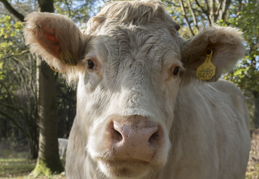 20171027-Fietsrondje-104