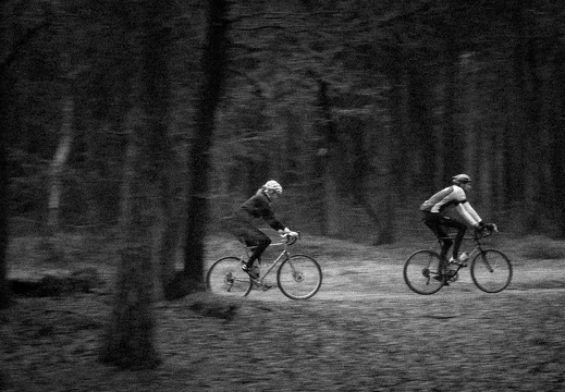 20171223-LageVuursche-101