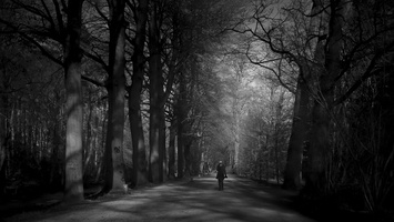 20170121-Corversbos-103