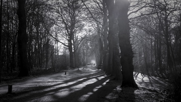 20170121-Corversbos-125