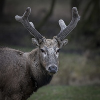 170226-Lelystad-Dierenpark-103