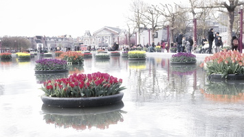 20170408-Amsterdam-118