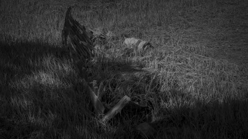 20170422-Bretagne-170