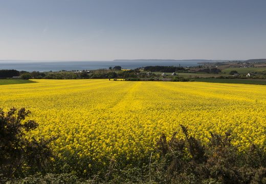 20170422-Bretagne-201