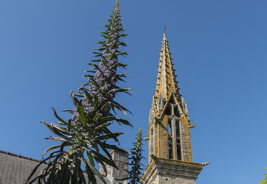 20170422-Bretagne-212