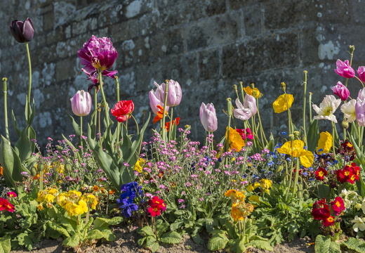 20170422-Bretagne-215