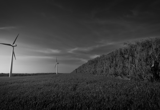 20170422-Bretagne-219