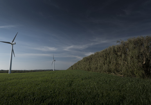 20170422-Bretagne-220