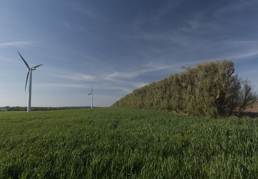 20170422-Bretagne-221