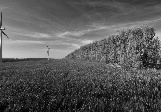 20170422-Bretagne-222