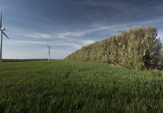 20170422-Bretagne-223