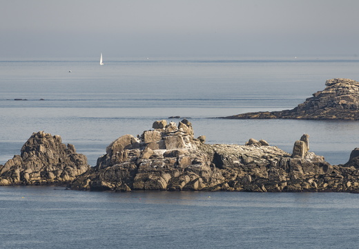 20170422-Bretagne-230