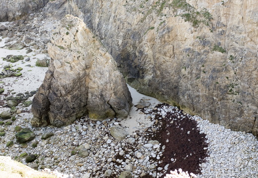 20170422-Bretagne-240