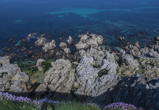 20170422-Bretagne-241