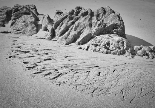 20170422-Bretagne-260