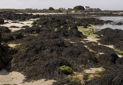 20170422-Bretagne-278