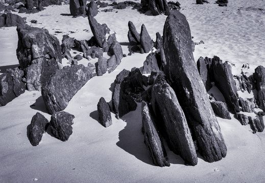 20170422-Bretagne-280