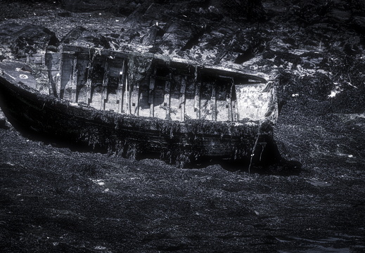 20170422-Bretagne-283