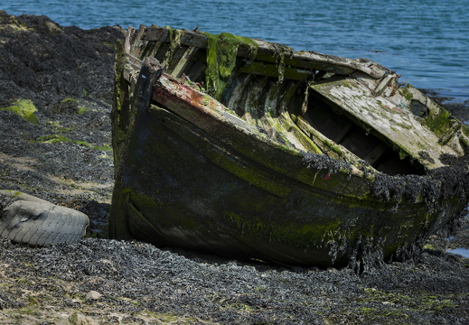 20170422-Bretagne-284