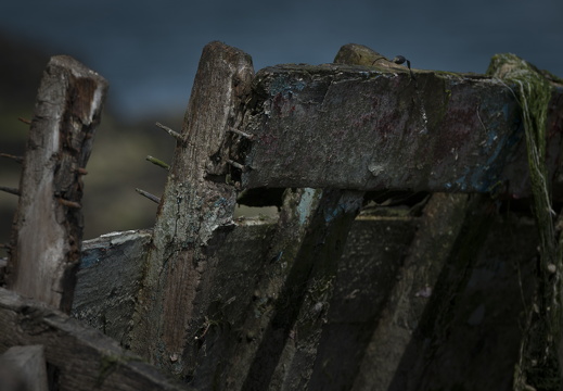 20170422-Bretagne-286