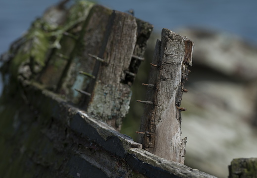 20170422-Bretagne-287