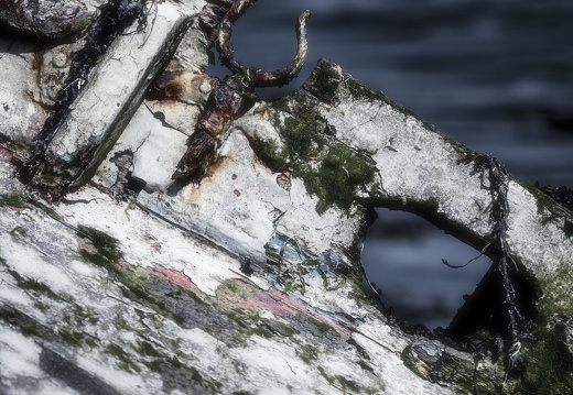 20170422-Bretagne-288