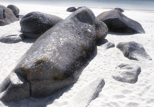 20170422-Bretagne-291