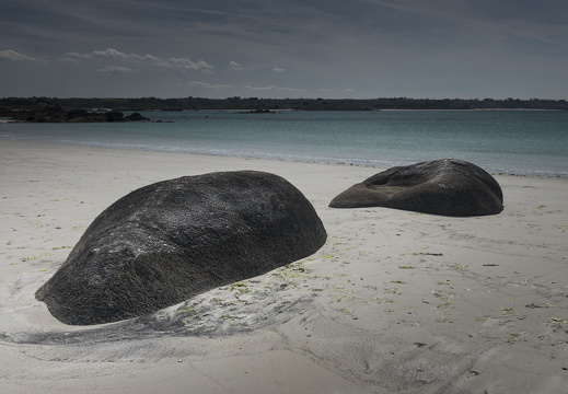 20170422-Bretagne-292