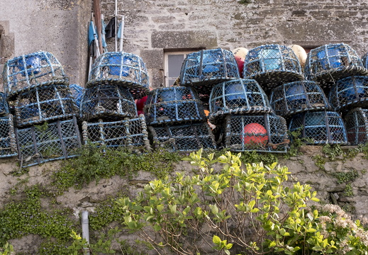 20170422-Bretagne-311