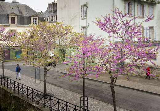 20170422-Bretagne-320