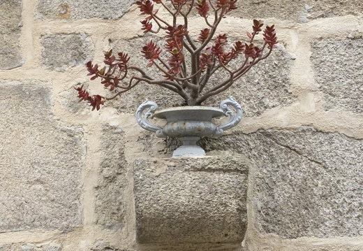 20170422-Bretagne-336