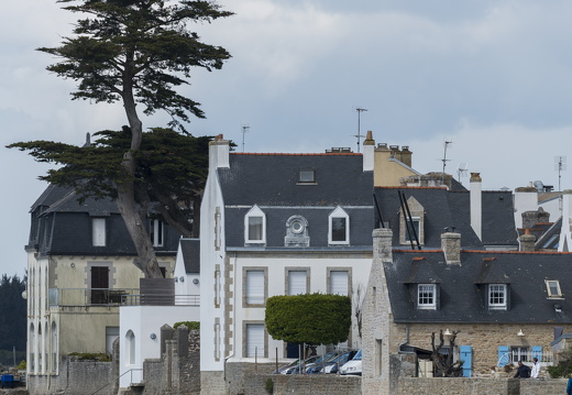 20170422-Bretagne-365