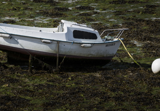20170422-Bretagne-395