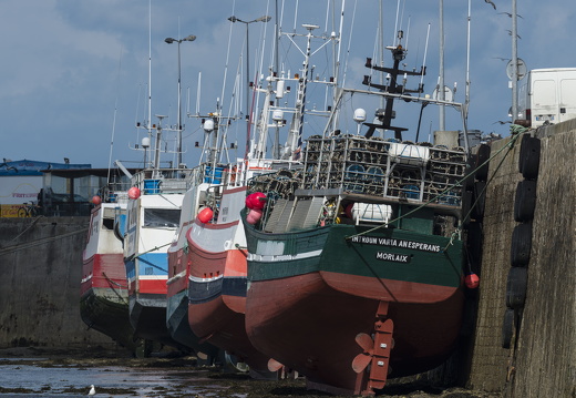 20170422-Bretagne-396