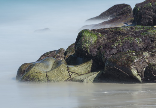 20170422-Bretagne-492