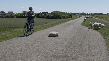 170525-HemelvaartritFriesland-136