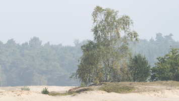 20170924-Kootwijkerzand-114
