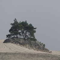 20170924-Kootwijkerzand-121