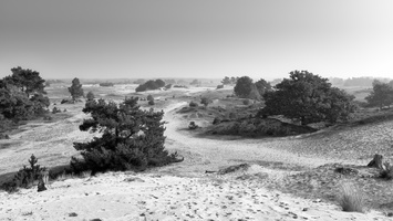 20170924-Kootwijkerzand-138