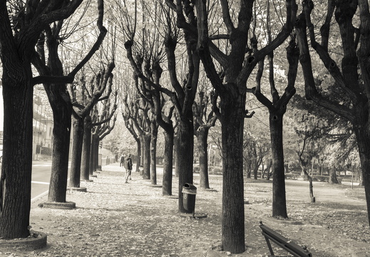 20171020-ComoStad-120