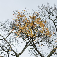 20171105-Amsterdam-107