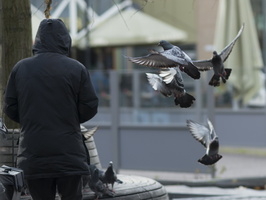 20171111-Amsterdam-141