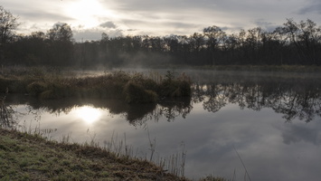 171125-Kootwijkerzand-100