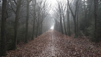 171125-Kootwijkerzand-104