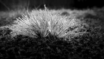171125-Kootwijkerzand-123
