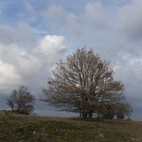 171125-Kootwijkerzand-145